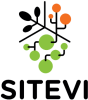 SITEVI-logo